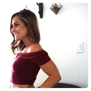 Velvet Crop Top